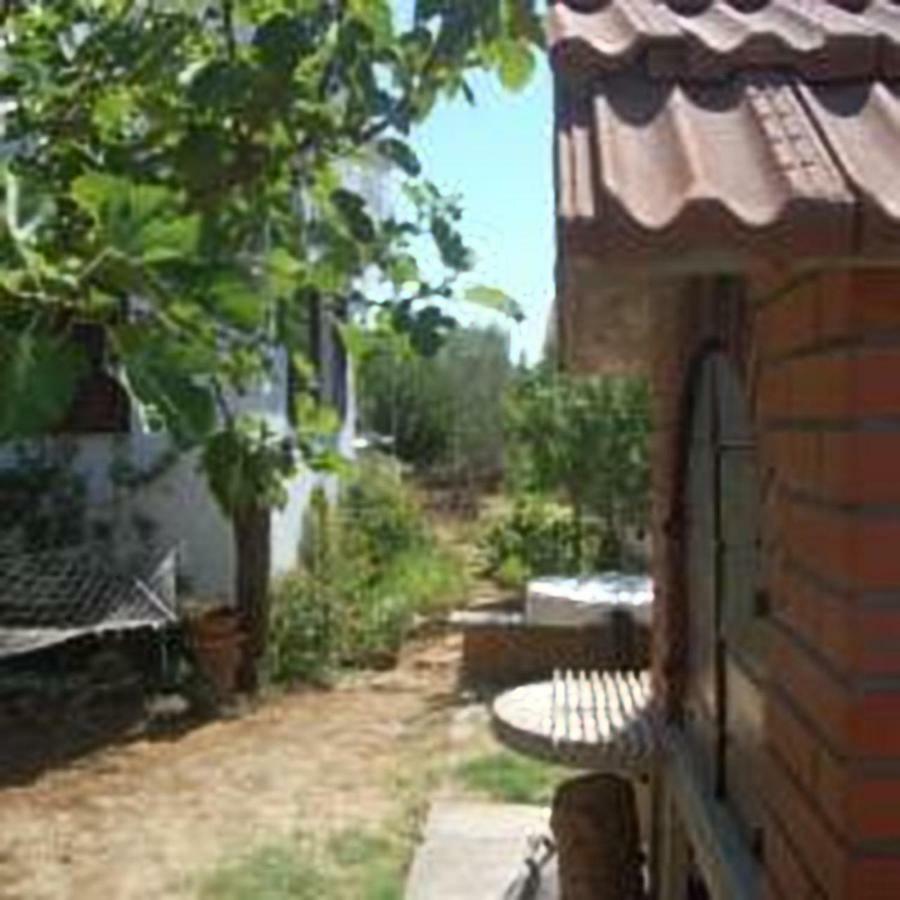 Relax And Enjoy At Powermoni Apartment Bibinje Exterior photo