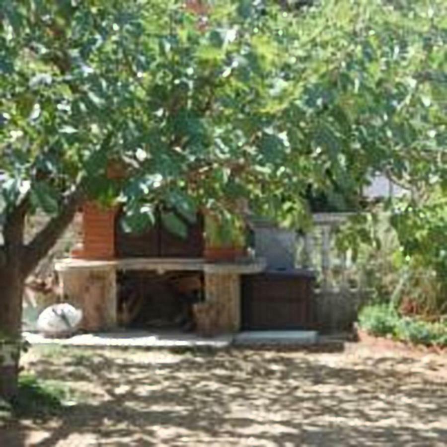 Relax And Enjoy At Powermoni Apartment Bibinje Exterior photo